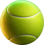 ATP 500
